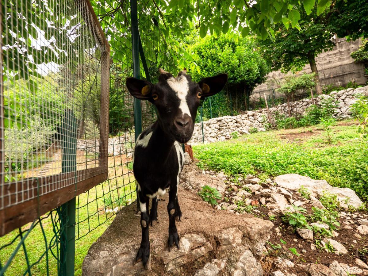 Locazione Turistica Villa Margherita-3 Anduins Esterno foto